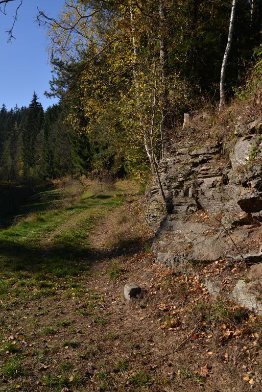 Žďár nad Sázavou Pension Najdek מראה חיצוני תמונה